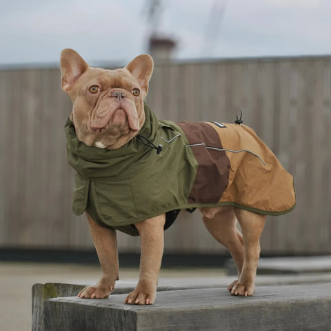 Breatheshield™ Dog Raincoat - Green Brown Tan