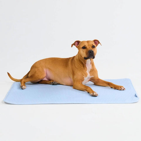 Frostcore™ Cooling Mat - Waffle Blue