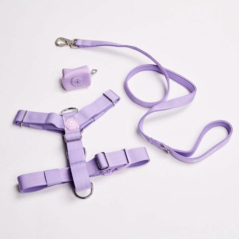 Leash and Poop Bag Holder Set