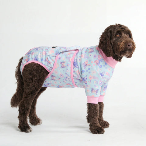Dog Surgical Suit - Butterfly