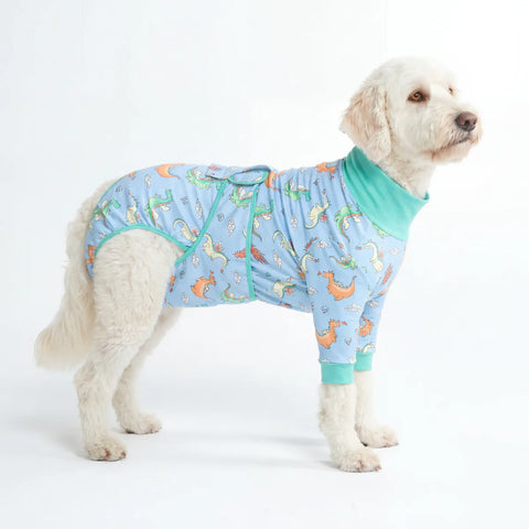 Dog Surgical Suit - Dragons