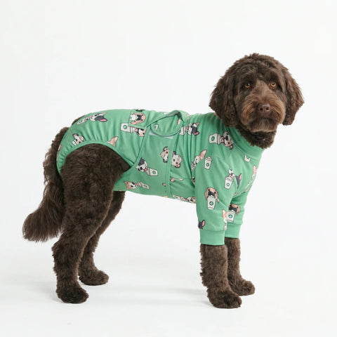Dog Surgical Suit - Pup Cup