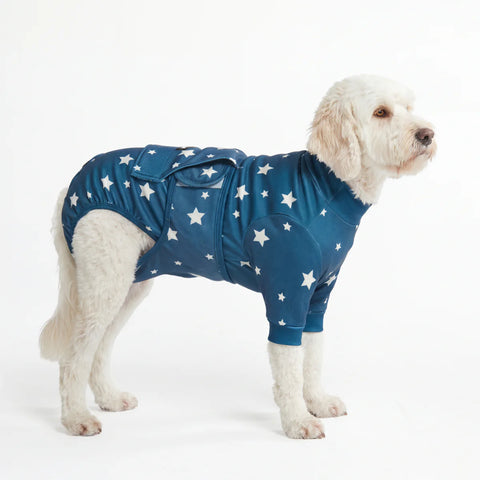 Dog Surgical Suit - Stars
