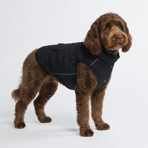 WarmShield Water-Resistant Jacket - Black