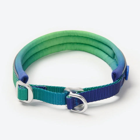 Cushioned Martingale Collar - Lime Wave