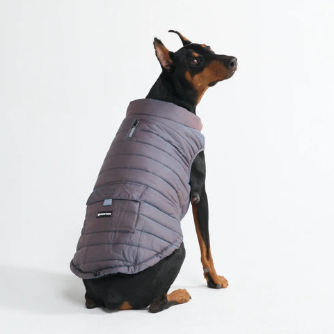 WarmShield Water-Resistant Jacket - Gunmetal Grey