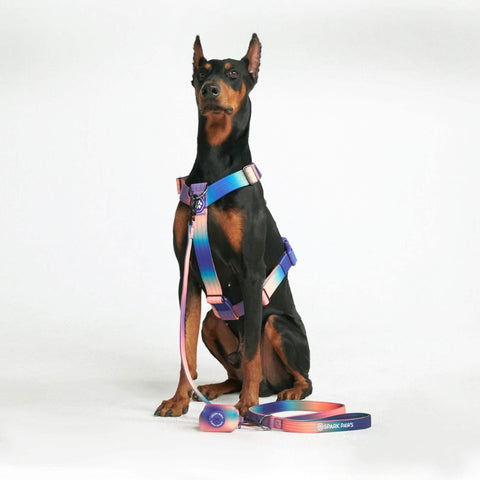 Leash and Poop Bag Holder Set