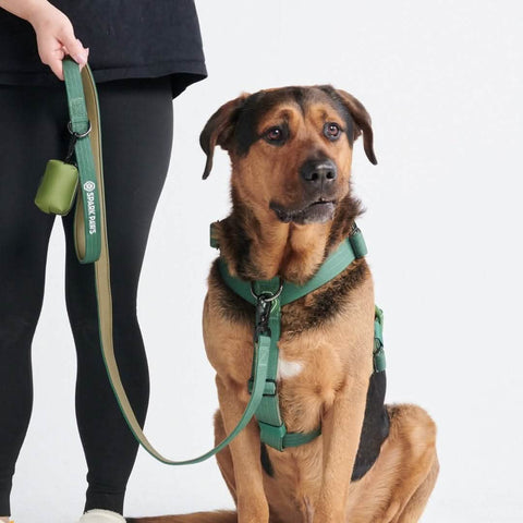 Leash and Poop Bag Holder Set