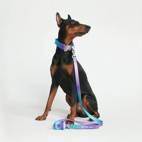 Leash and Poop Bag Holder Set