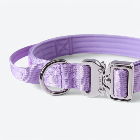 Comfort Control Collar - Lilac