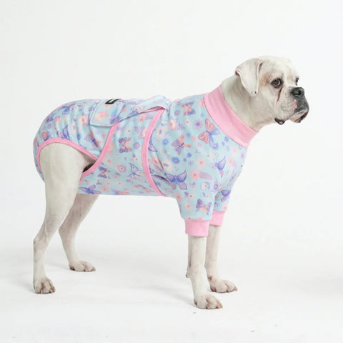 Dog Surgical Suit - Butterfly