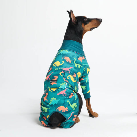 Dog Surgical Suit - Dinosaurs