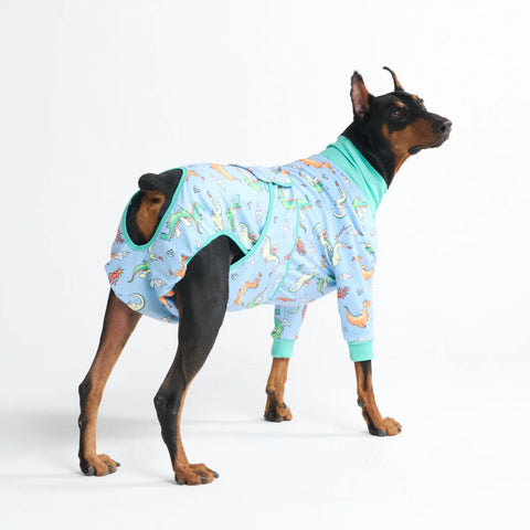 Dog Surgical Suit - Dragons
