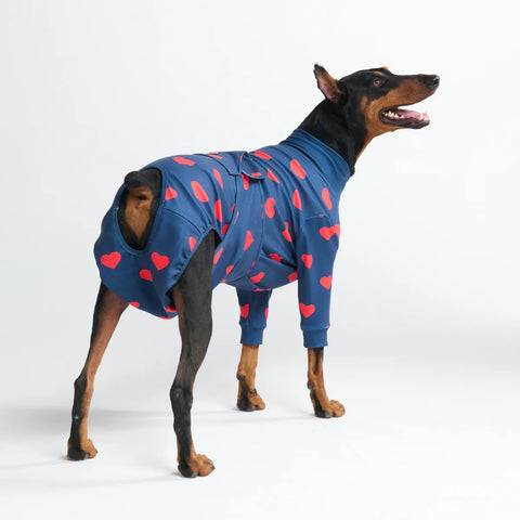 Dog Surgical Suit - Hearts