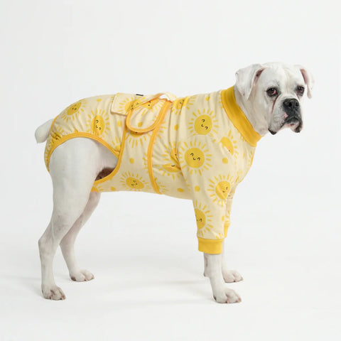 Dog Surgical Suit - Sunshine