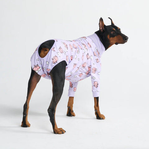 Dog Surgical Suit - When Pigs Fly