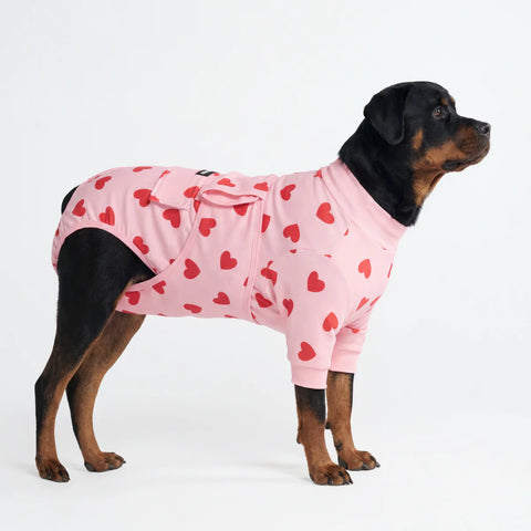 Dog Surgical Suit - Pink Hearts