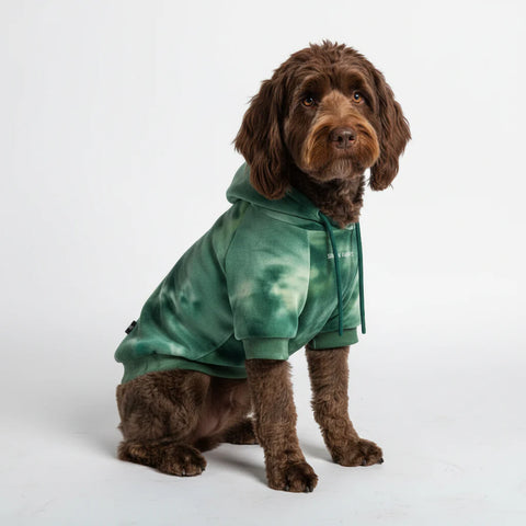 Velvet Dog Hoodie - Emerald Green