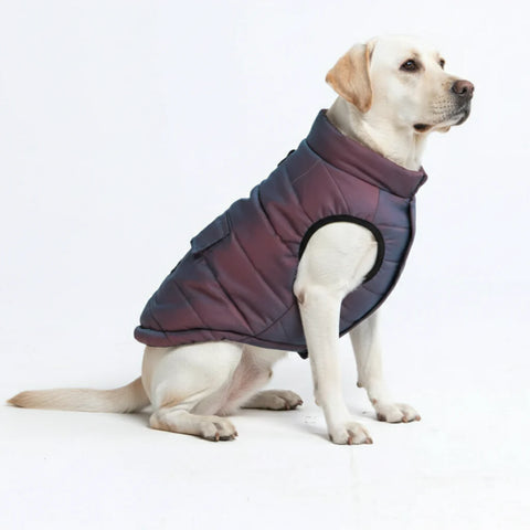 WarmShield Water-Resistant Jacket - Cosmic