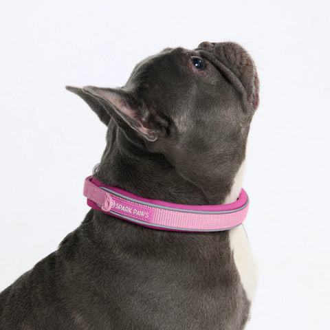 Cushioned Martingale Collars