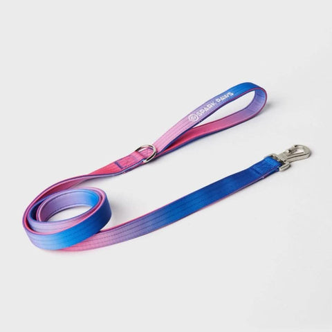 Leash and Poop Bag Holder Set