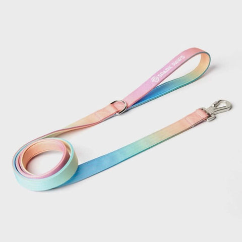 Leash and Poop Bag Holder Set