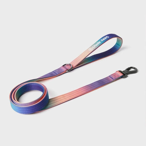 Leash and Poop Bag Holder Set