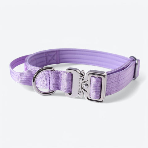 Comfort Control Collar Set - Lilac