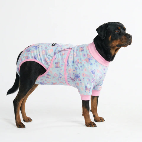 Dog Surgical Suit - Butterfly