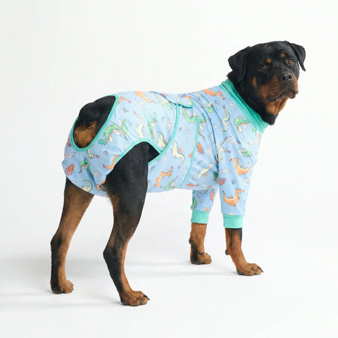 Dog Surgical Suit - Dragons