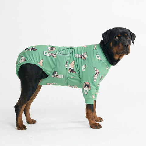 Dog Surgical Suit - Pup Cup