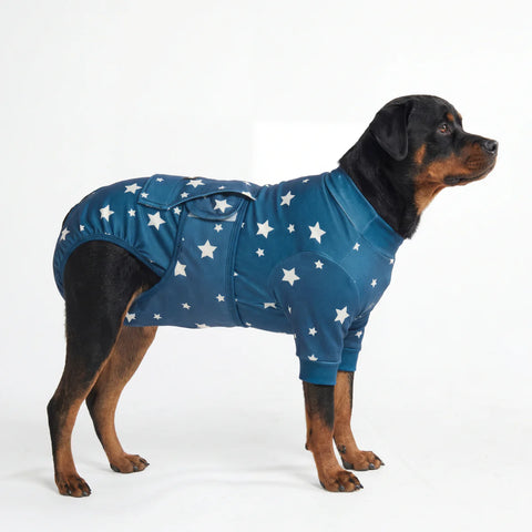 Dog Surgical Suit - Stars