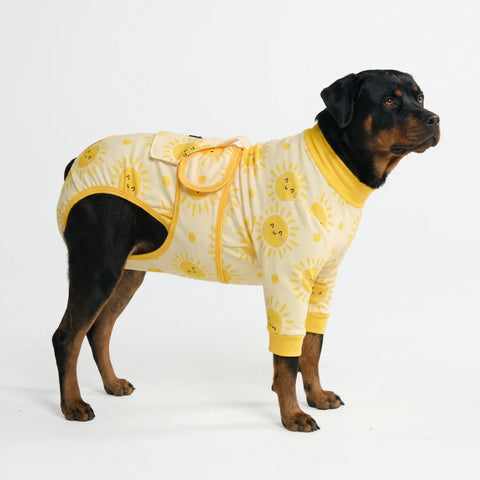 Dog Surgical Suit - Sunshine