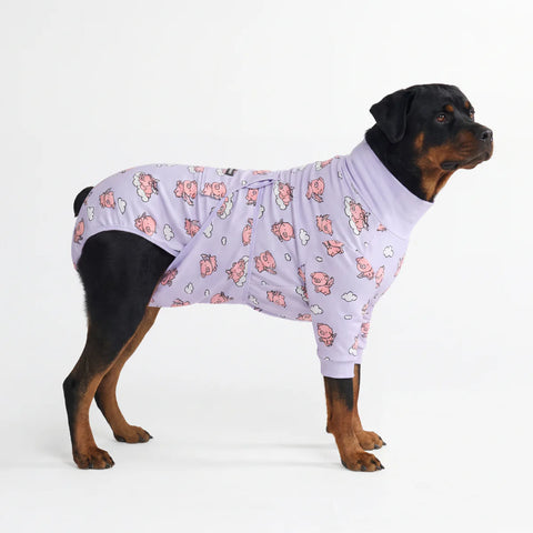 Dog Surgical Suit - When Pigs Fly