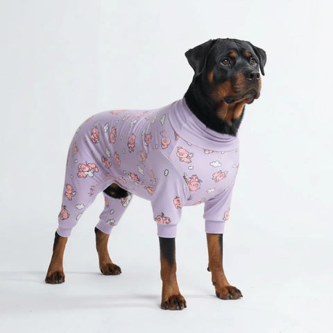 Dog Pajama - When Pigs Fly