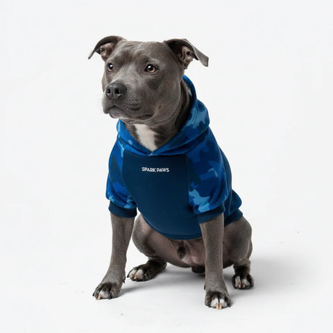 Blue Camo Dog Hoodie
