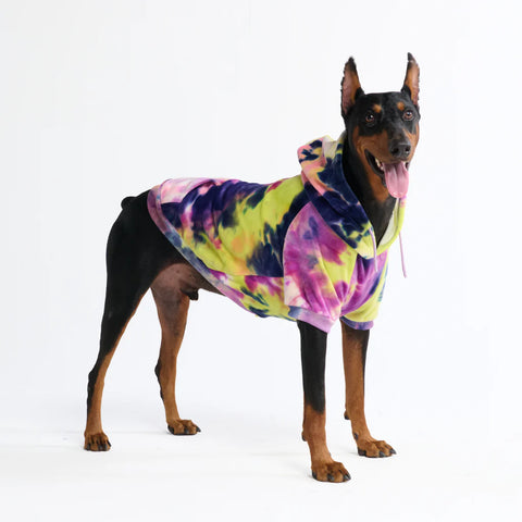 Velvet Dog Hoodie - Berry Lemonade
