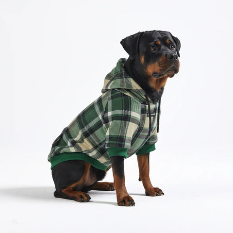 Green Plaid Dog Hoodie