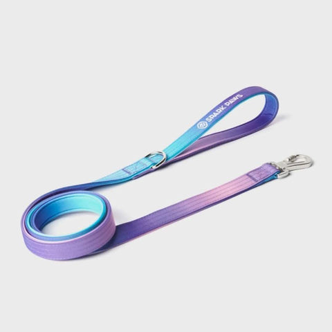 Leash and Poop Bag Holder Set