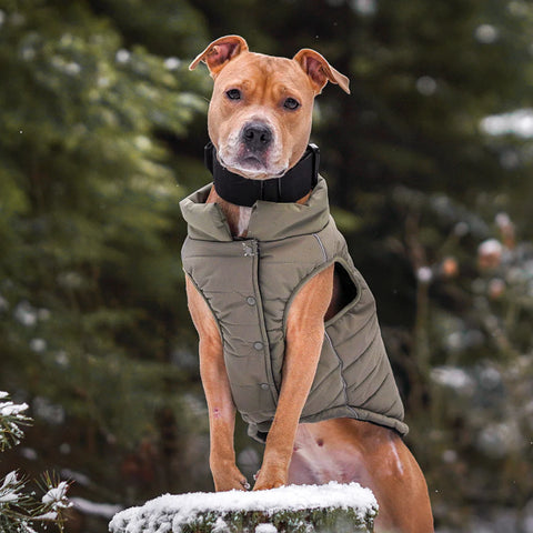 WarmShield Water-Resistant Jacket - Olive