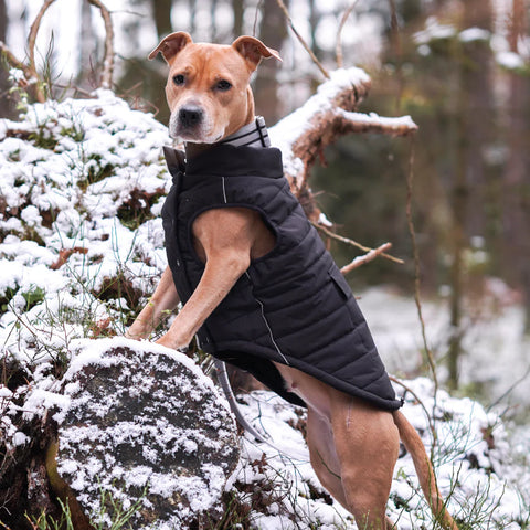 WarmShield Water-Resistant Jacket - Black