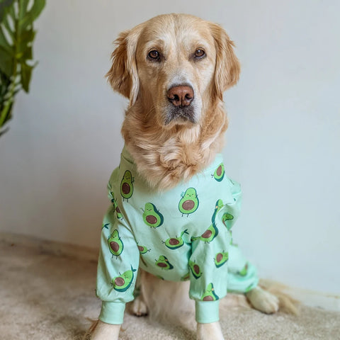 Dog Pajama - Avocado