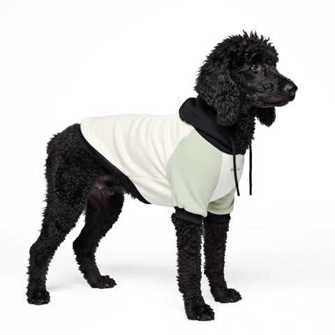 Olive Cream Dog Hoodie