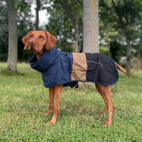 Breatheshield™ Dog Raincoat - Blue Gold Black