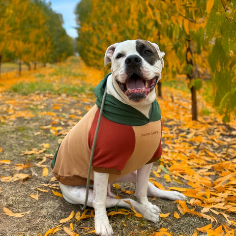 Ranger Dog Hoodie