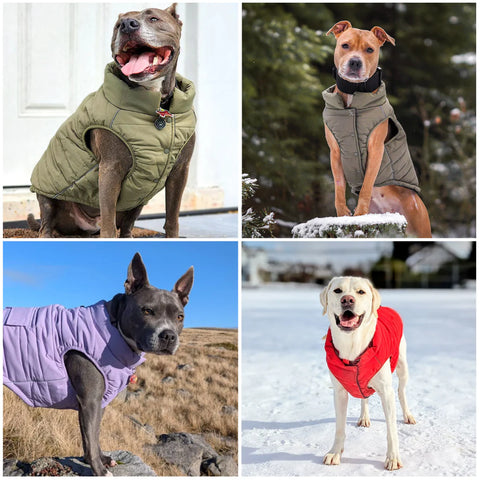 WarmShield Water-Resistant Jacket - Cosmic