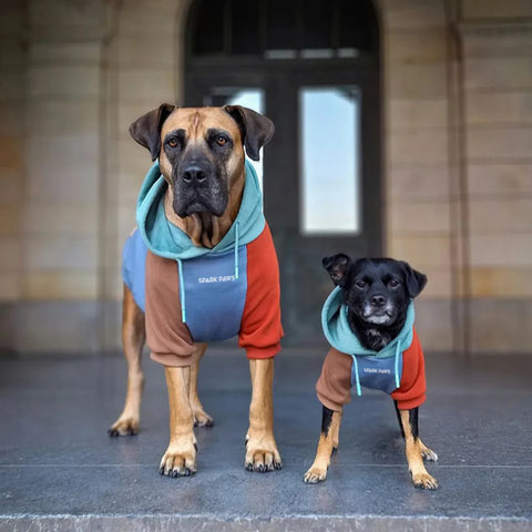 Alpine Dog Hoodie