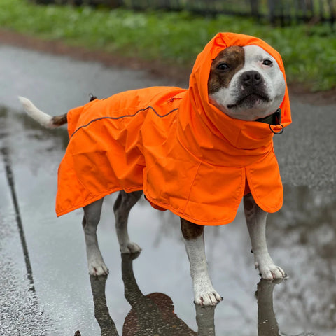 Breatheshield™ Dog Raincoat - Neon Orange
