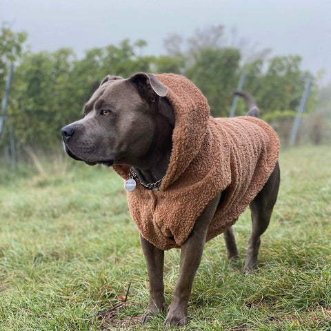 Teddy Sherpa Fleece Dog Jacket - Brown