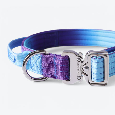 Comfort Control Collar Set - 90s Retro